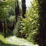 La Vecchia Quercia Selci (Lazio)