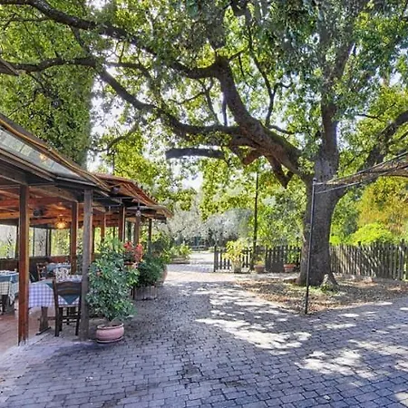 La Vecchia Quercia 3* Selci (Lazio)