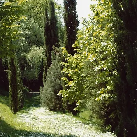 La Vecchia Quercia Selci (Lazio)
