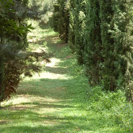 Bed & Breakfast La Vecchia Quercia 3*