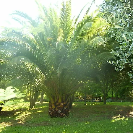 Bed & Breakfast La Vecchia Quercia 3*