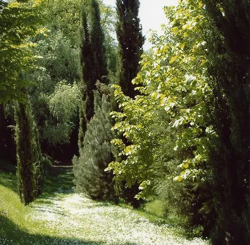 La Vecchia Quercia Selci (Lazio)
