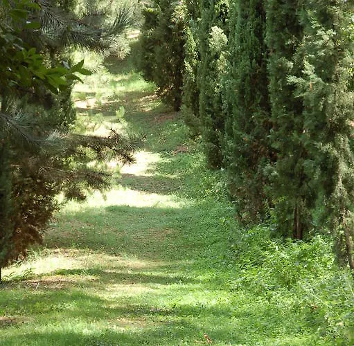 Bed and Breakfast La Vecchia Quercia 3*