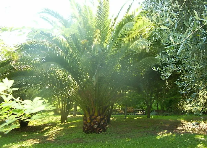 Bed and Breakfast La Vecchia Quercia 3*