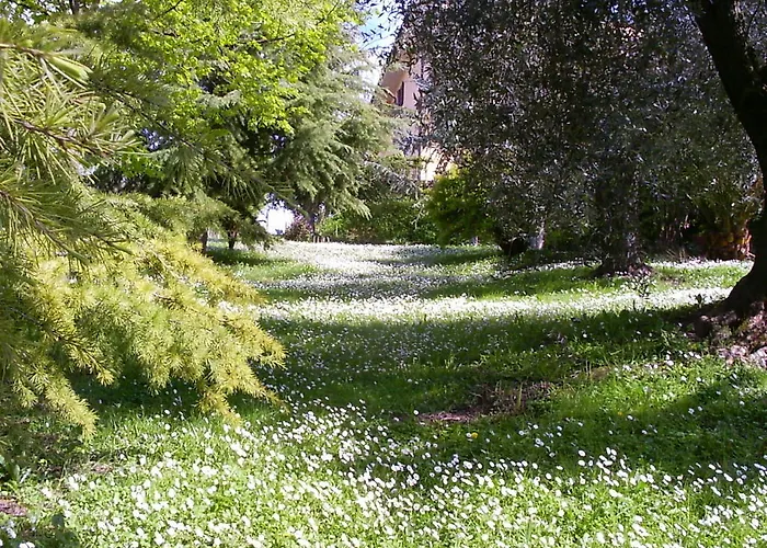 La Vecchia Quercia Selci (Lazio)